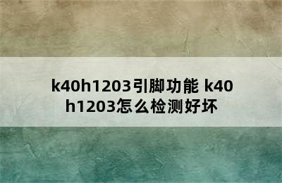 k40h1203引脚功能 k40h1203怎么检测好坏